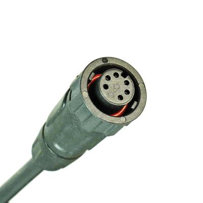 PTP25-WR01 5-пиновая вилка Parker для подключения аргонодуговых TIG горелок к механизму подачи проволоки Parker AF TIG Pulse фото артикул: PTP25-WR01
