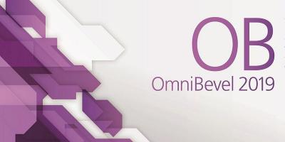 Программное обеспечение OmniBevel 2019 фото 